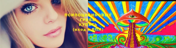 прущие грибы Дмитровск