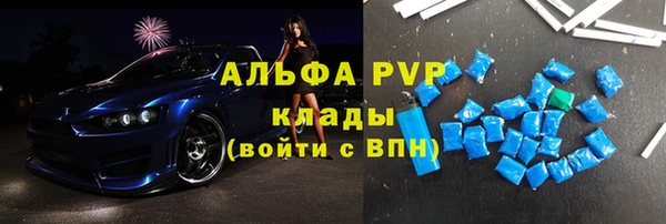прущие грибы Дмитровск