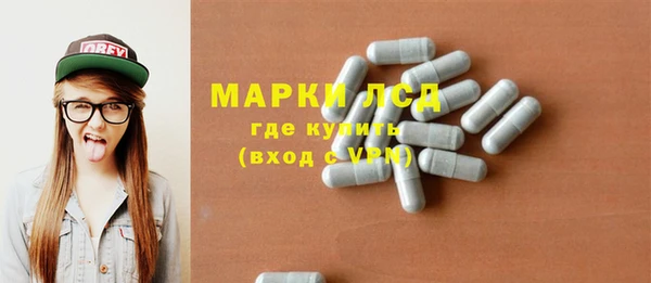 прущие грибы Дмитровск