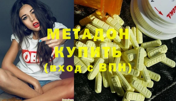 прущие грибы Дмитровск