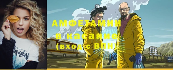 прущие грибы Дмитровск