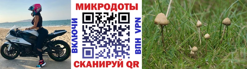 Купить закладки  Донецк  Галлюциногенные грибы Psilocybe 